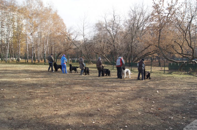 Фотография № 167140