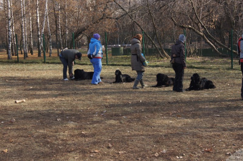 Фотография № 167141