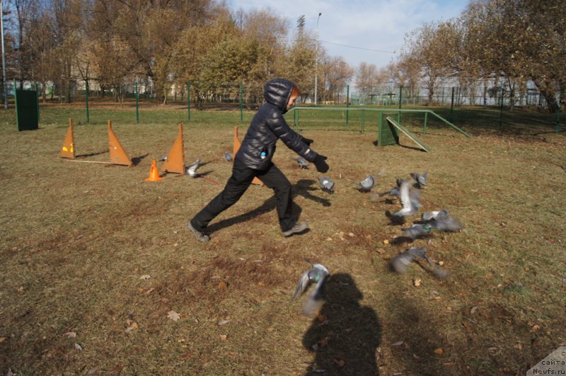 Фотография № 167142