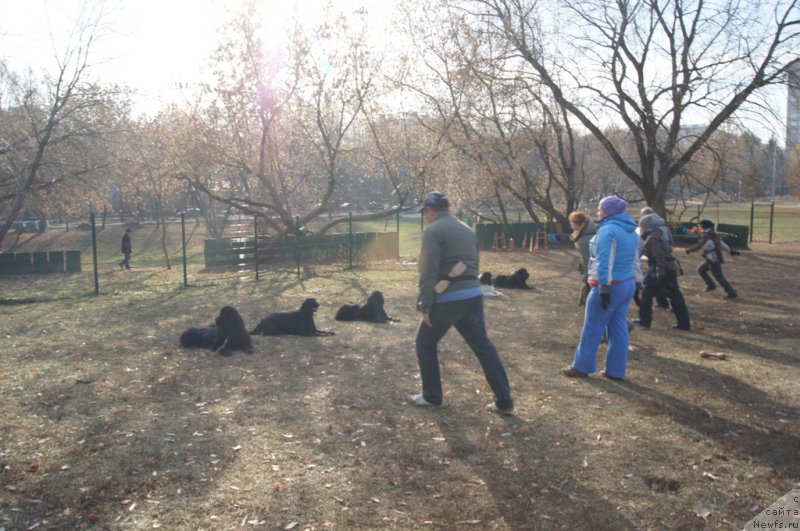 Фотография № 167143