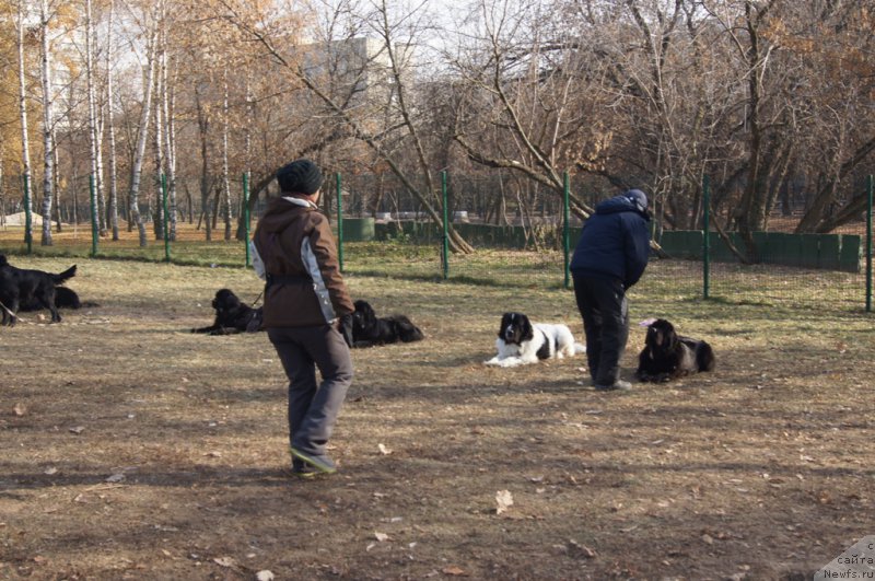 Фотография № 167146