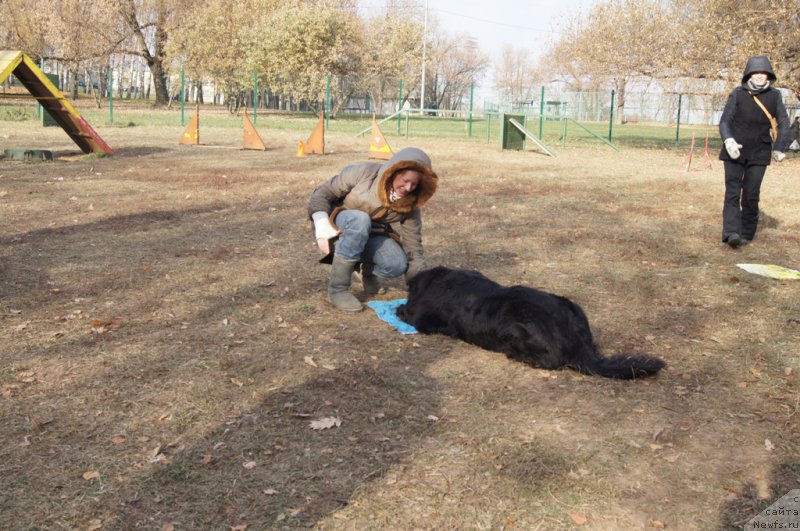 Фотография № 167152