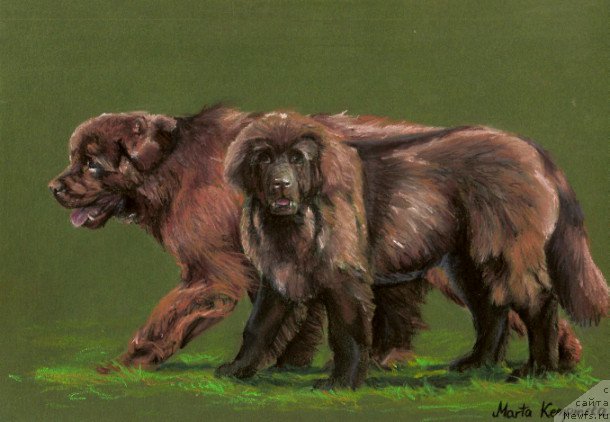 Фотография № 167158