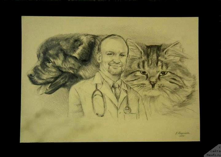 Фотография № 167159