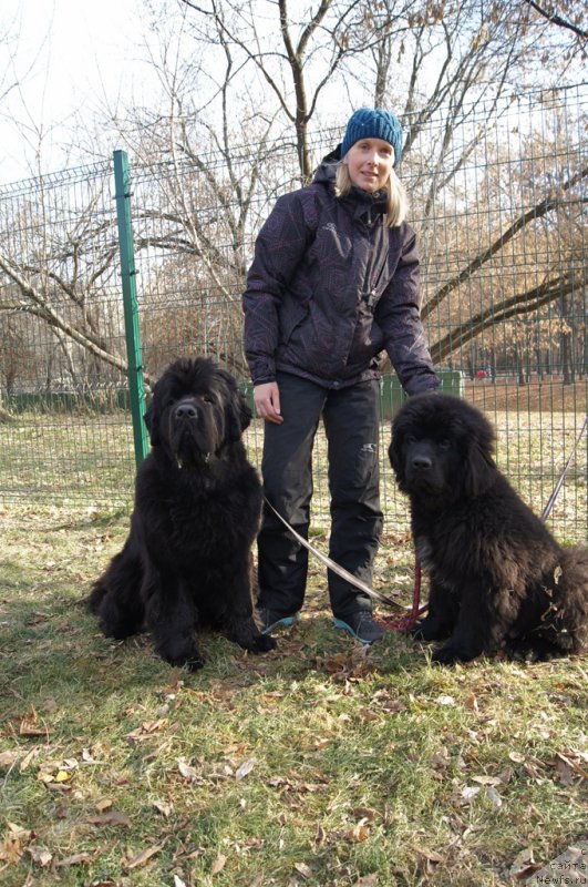 Фотография № 167160