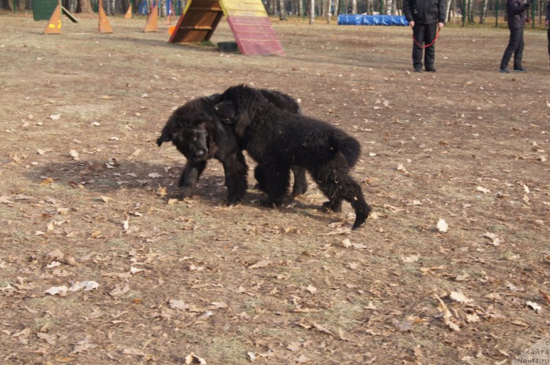 Фотография № 167163