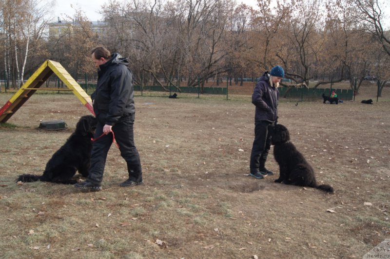 Фотография № 167165