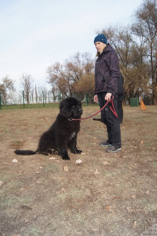 Фотография № 167167