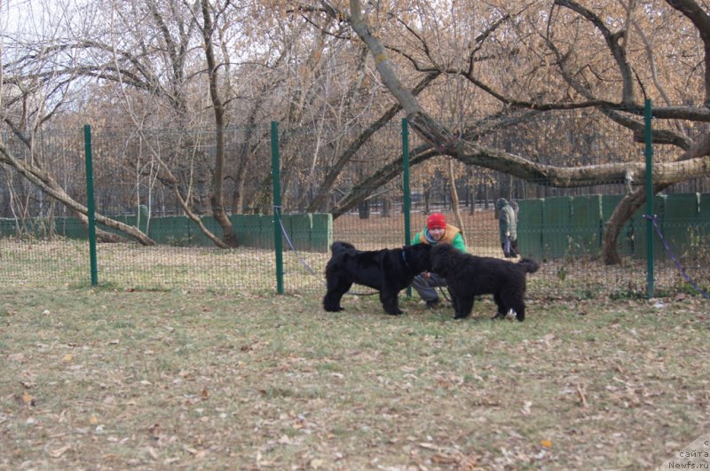 Фотография № 167168