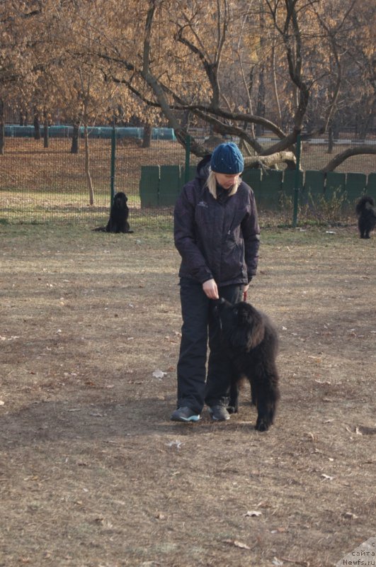 Фотография № 167169