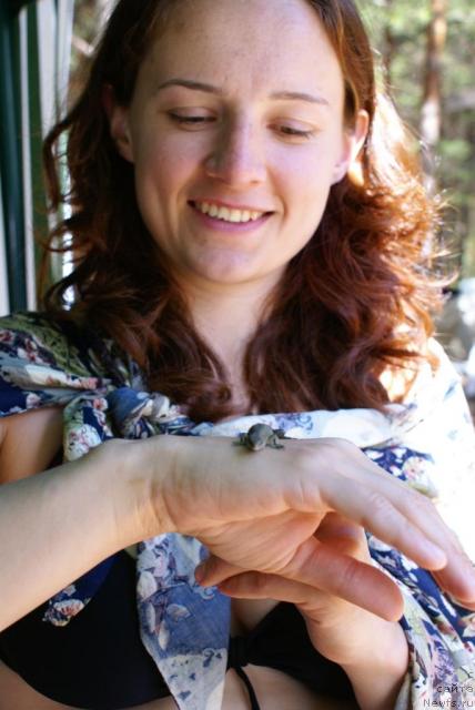 Фотография № 16717