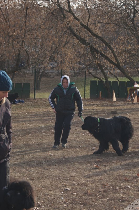 Фотография № 167171