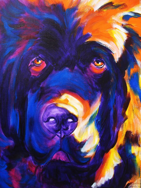 Фотография № 167174