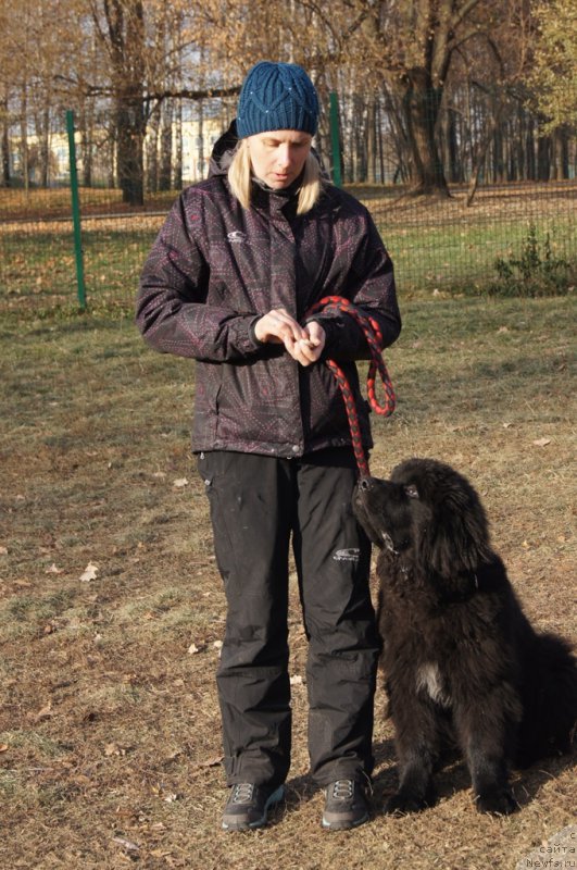 Фотография № 167177