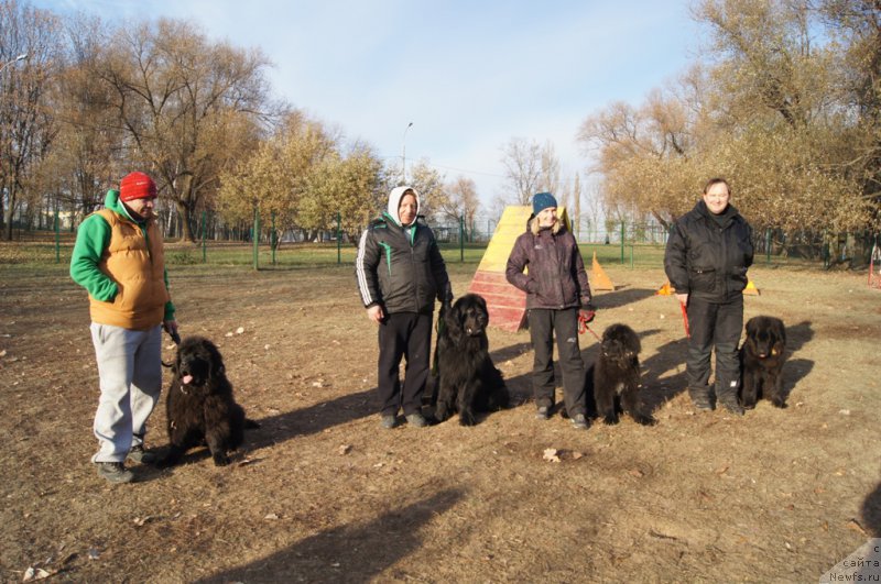 Фотография № 167182