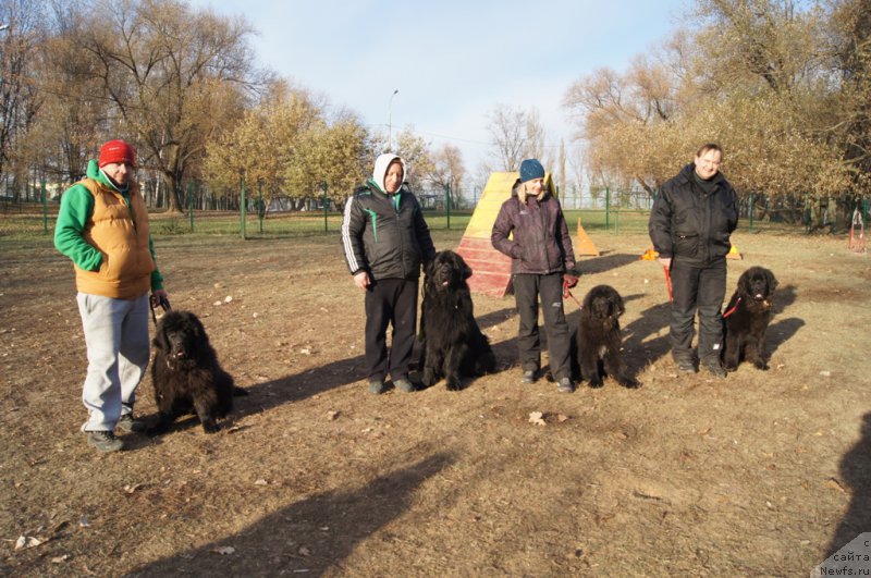 Фотография № 167183