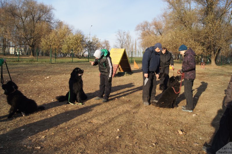 Фотография № 167184