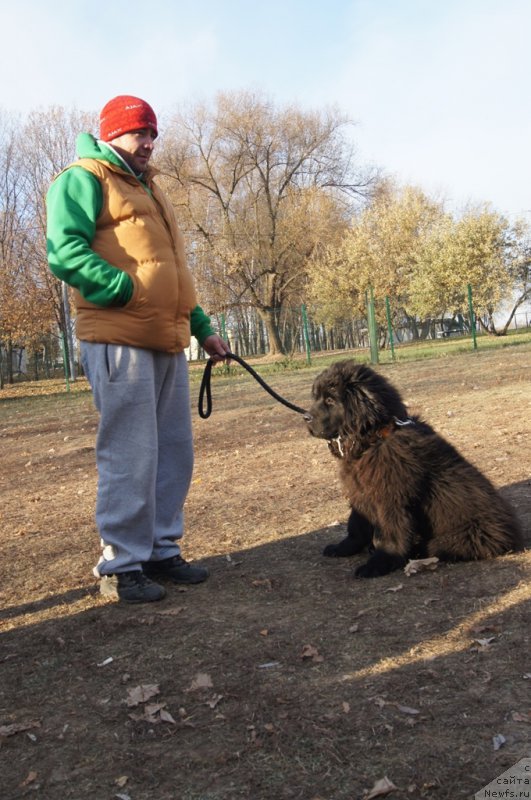 Фотография № 167186