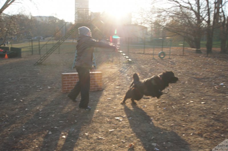 Фотография № 167187