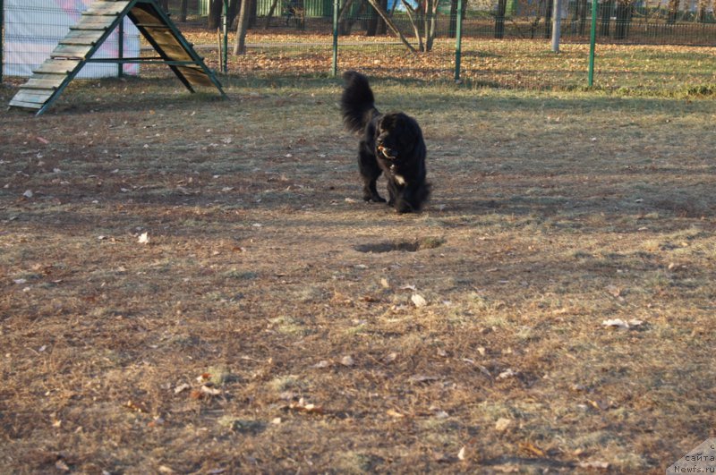 Фотография № 167188