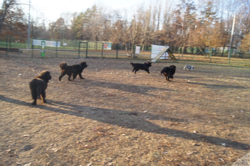 Фотография № 167190