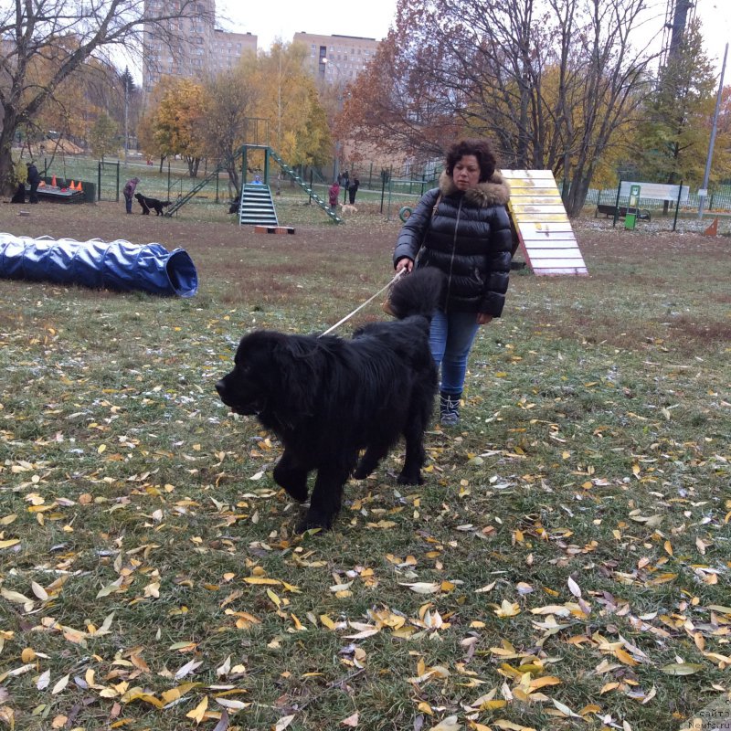 Фото: Oksana SHevchuk (Оксана Шевчук)