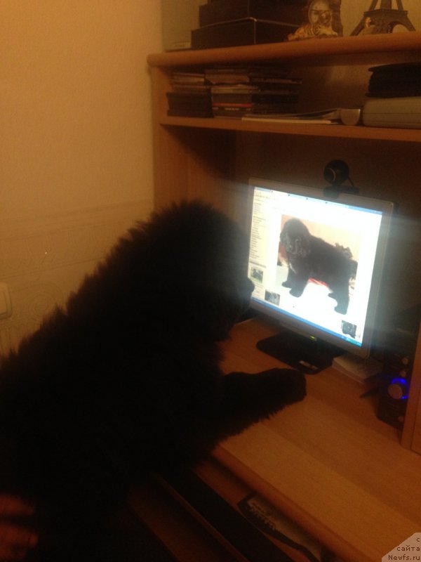 Фотография № 167202