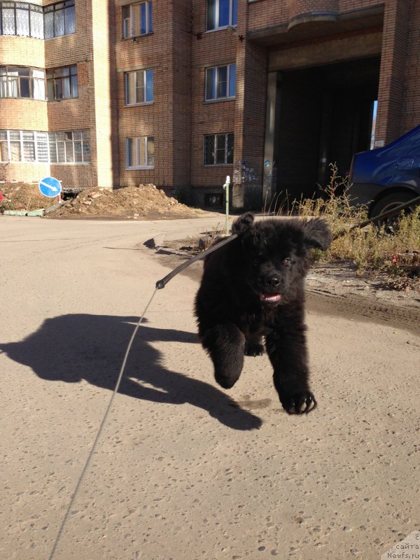 Фотография № 167203