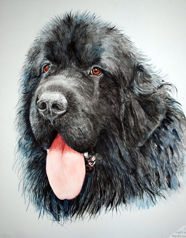 Фотография № 167206