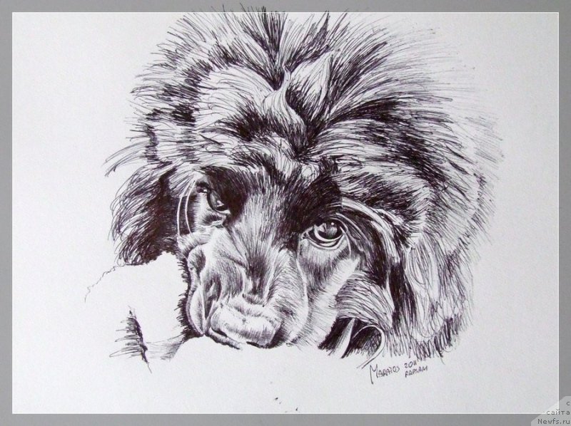 Фотография № 167209