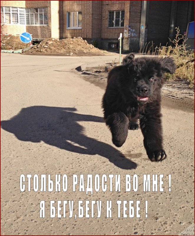 Фотография № 167219