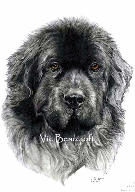 Фотография № 167228