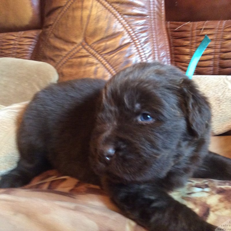 Фотография № 167232