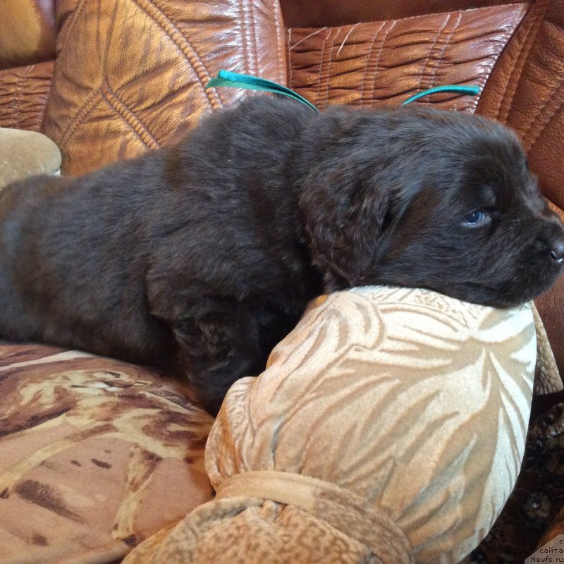 Фотография № 167241