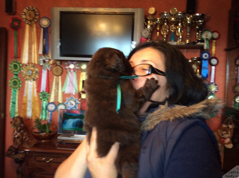 Фотография № 167242