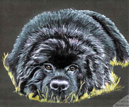 Фотография № 167264