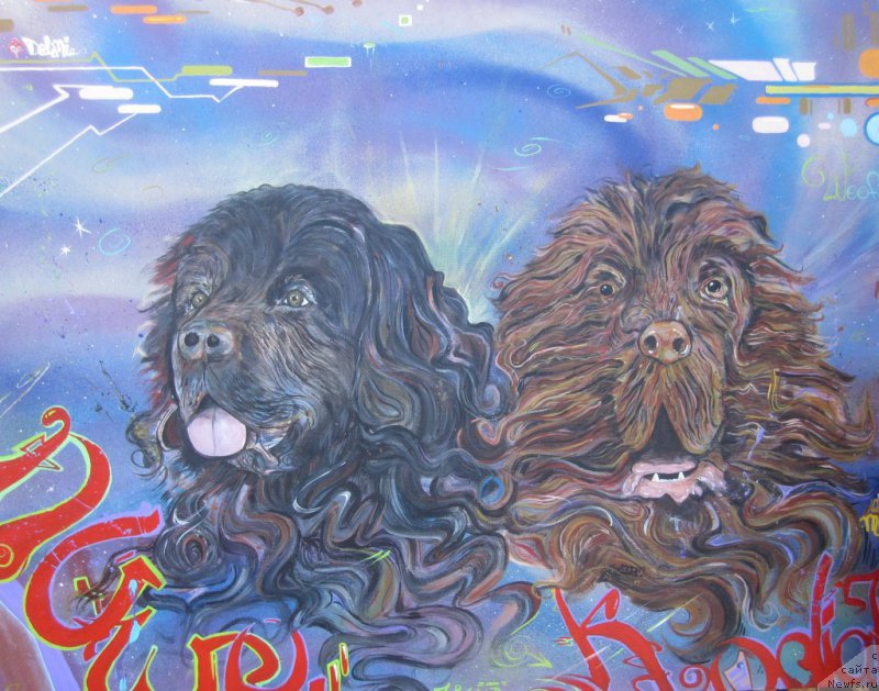 Фотография № 167269