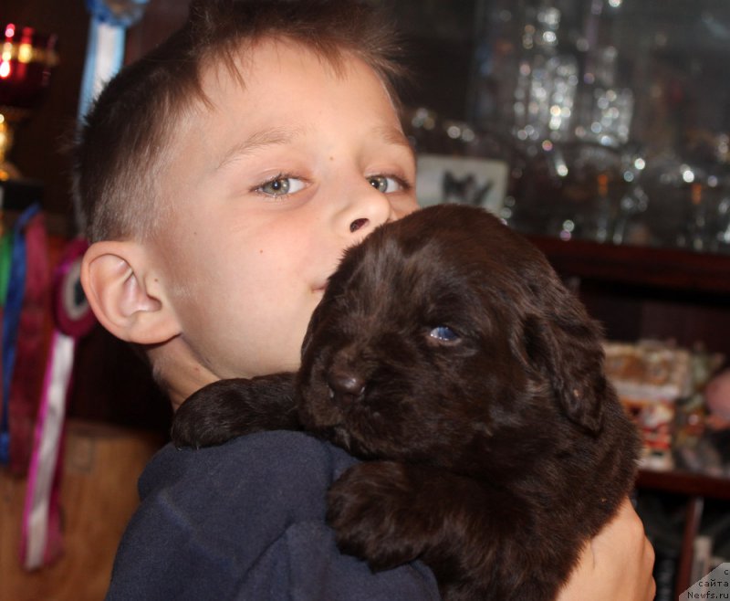 Фотография № 167275