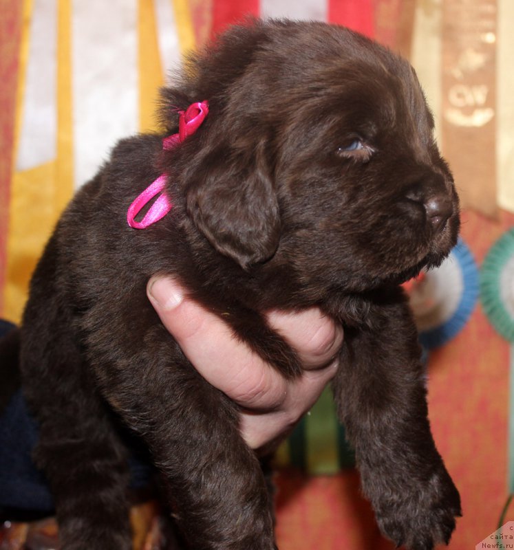 Фотография № 167276