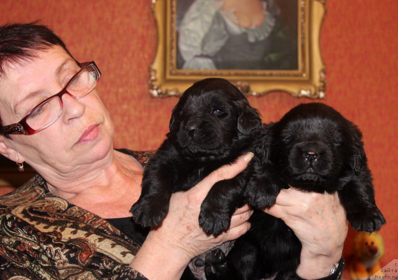 Фотография № 167277