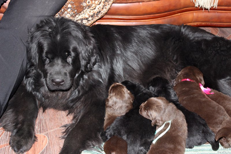 Фотография № 167279