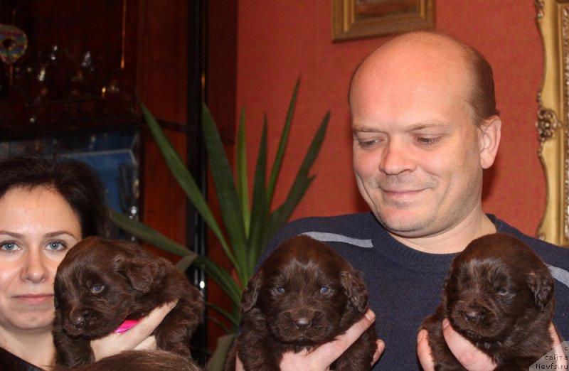 Фотография № 167281