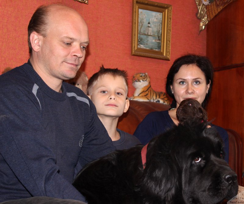 Фотография № 167283