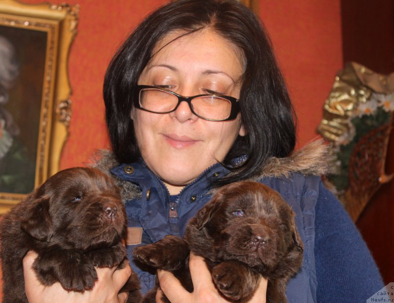 Фотография № 167284