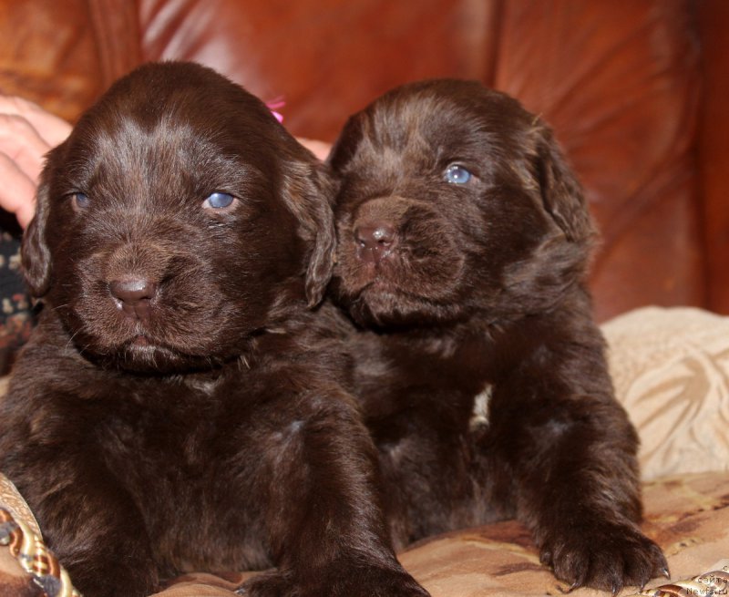 Фотография № 167285