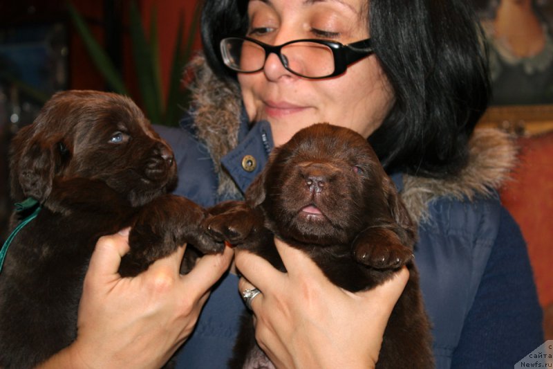 Фотография № 167286