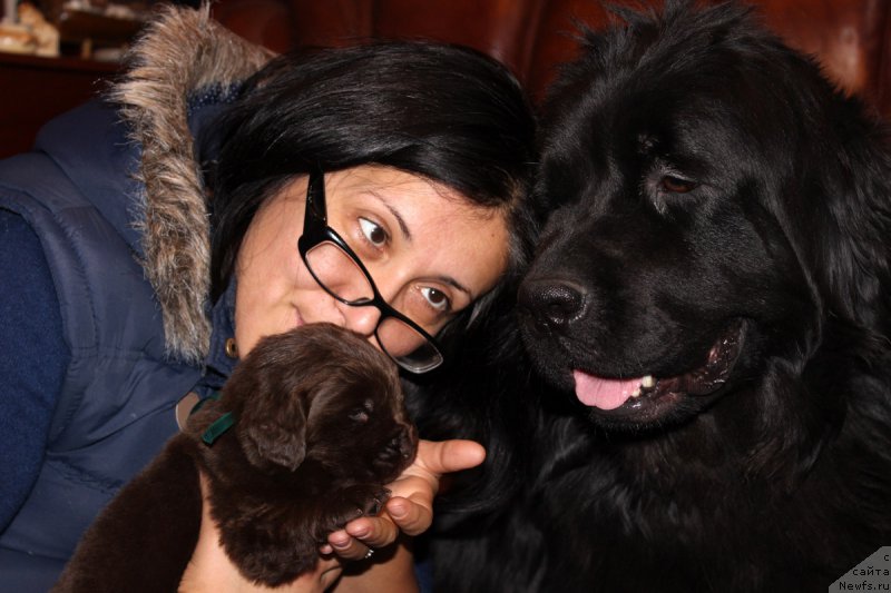 Фотография № 167287