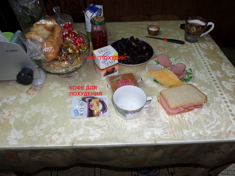 Фотография № 167302