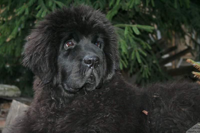 Фотография № 167306