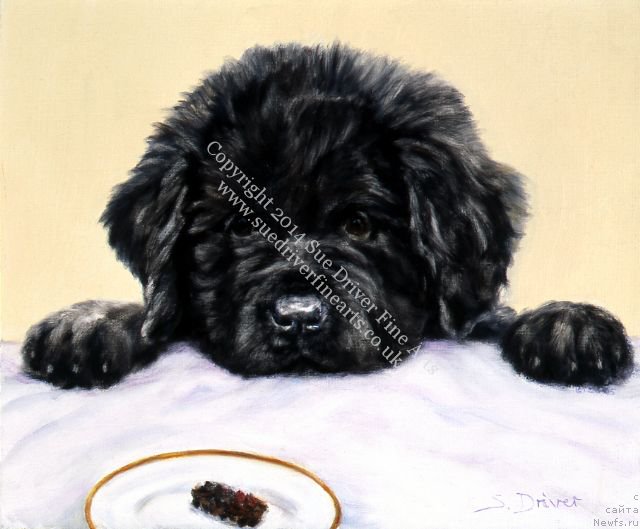 Фотография № 167316